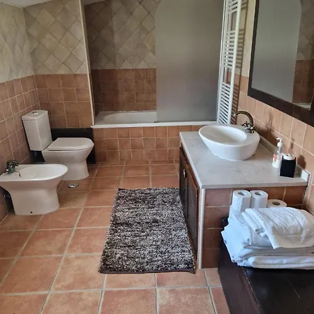 Quinta Damigo 塞亚