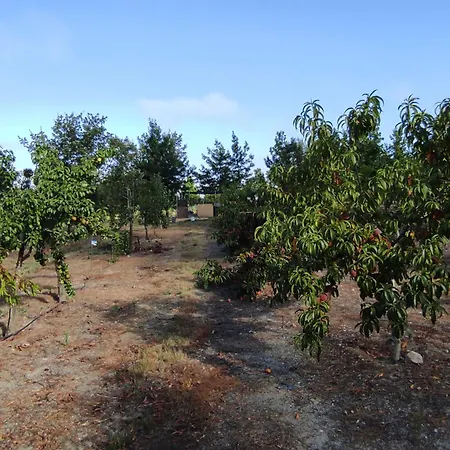 Quinta Damigo Kır Evi