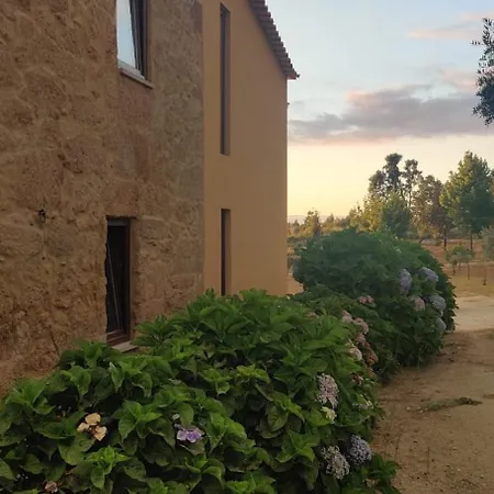 Quinta Damigo Venkovský dům