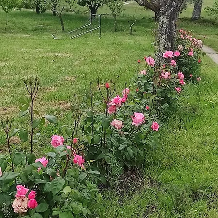 Kır Evi Quinta Damigo Seia