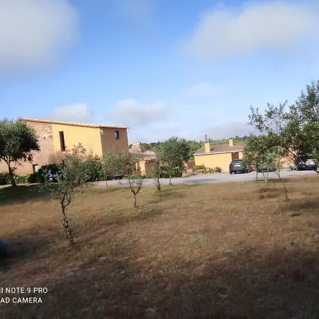 Quinta Damigo *