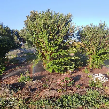 Kır Evi Quinta Damigo *