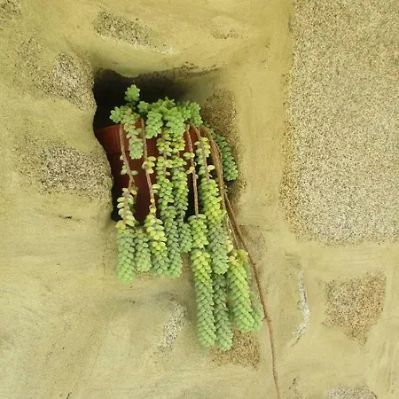 乡村民宿 Quinta Damigo