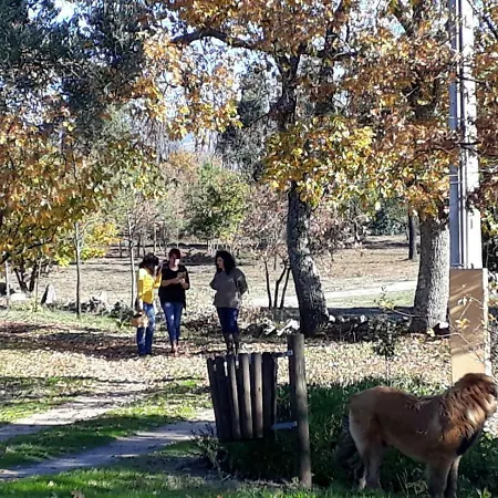 Landhaus Quinta Damigo *