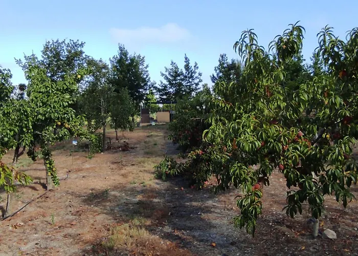 Quinta Damigo Landsted