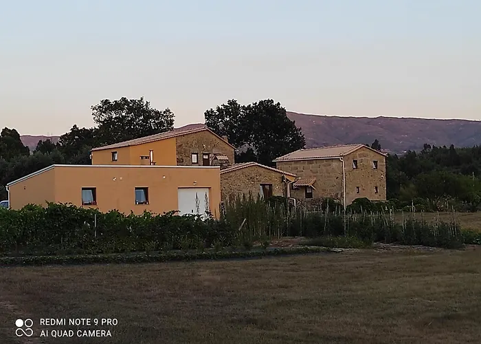 Quinta Damigo Casa rural Seia
