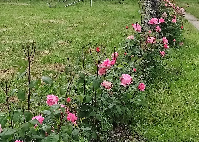 Landsted Quinta Damigo Seia