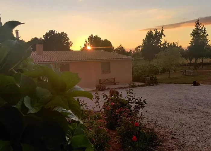 Quinta Damigo * Seia