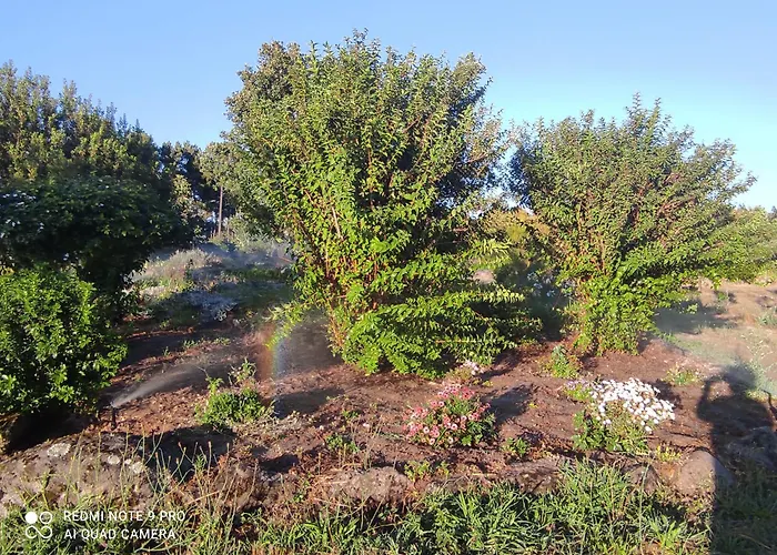 Landsted Quinta Damigo *