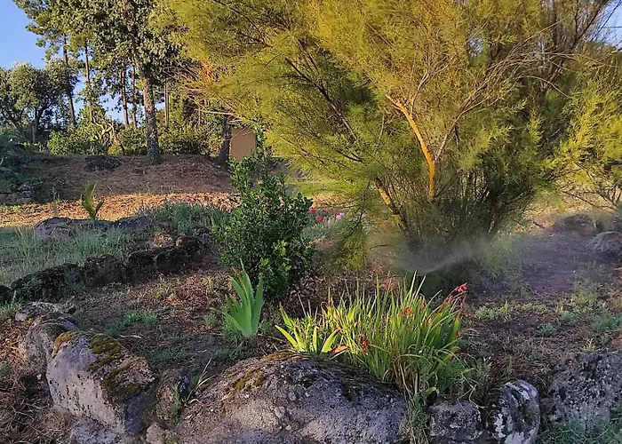 Quinta Damigo Casa rural Seia