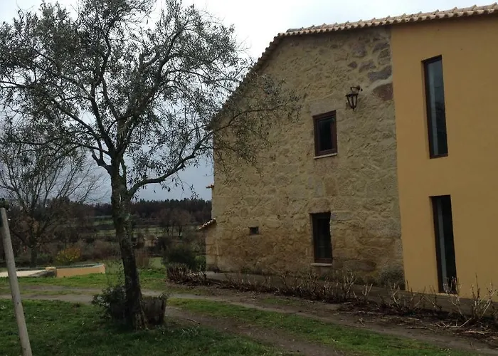 Quinta Damigo * Seia