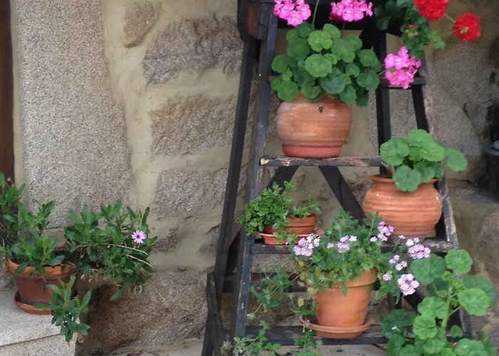 Landsted Quinta Damigo