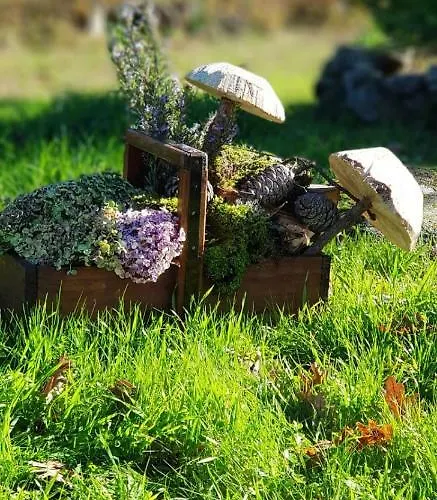 Landsted Quinta Damigo *