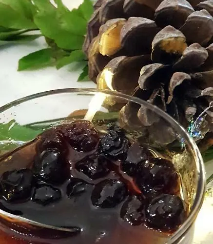 Landsted Quinta Damigo *